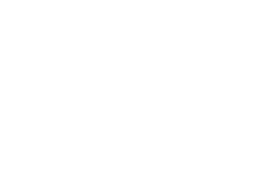 Logo White